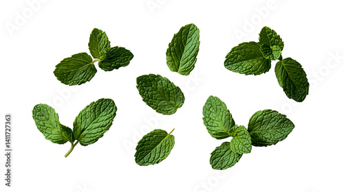 Fresh Mint Leaves Flat Lay isolated on transparent background