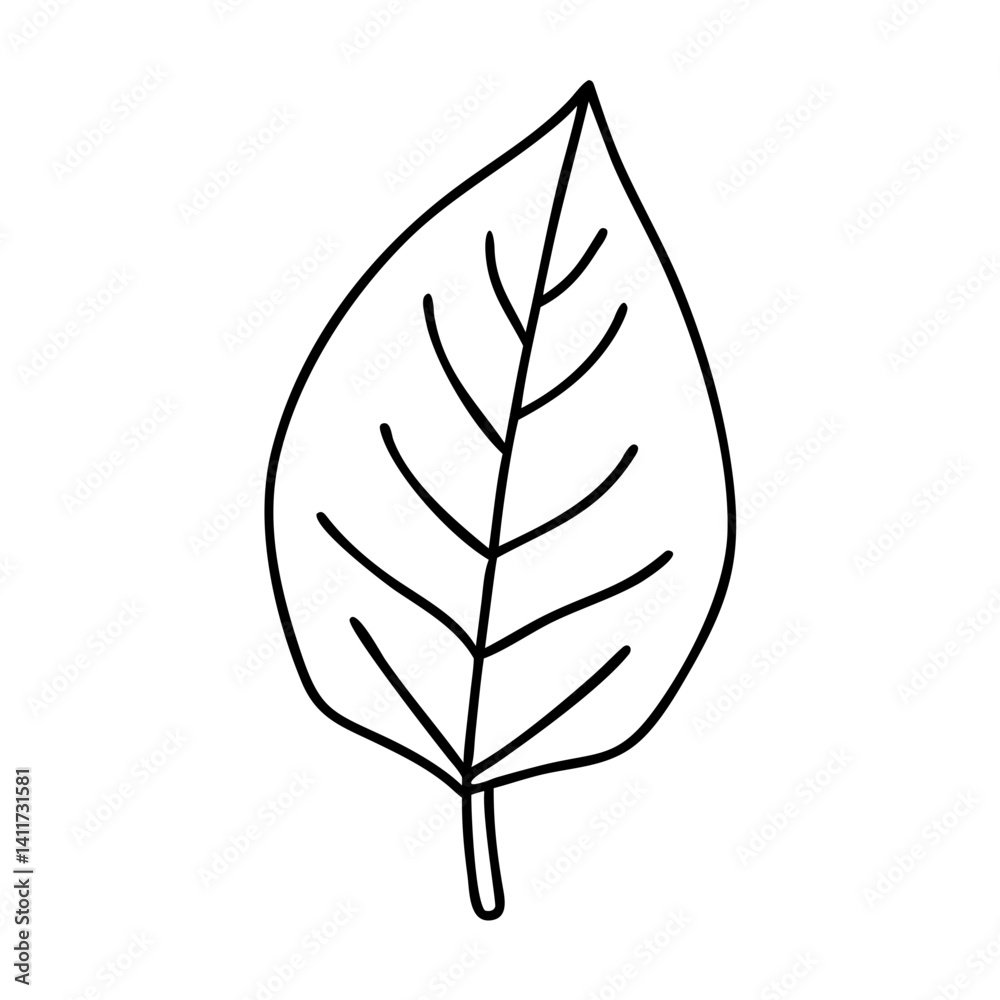 Fototapeta premium Simple Line Drawing of a Single Leaf with Veins Nature Botany Illustration