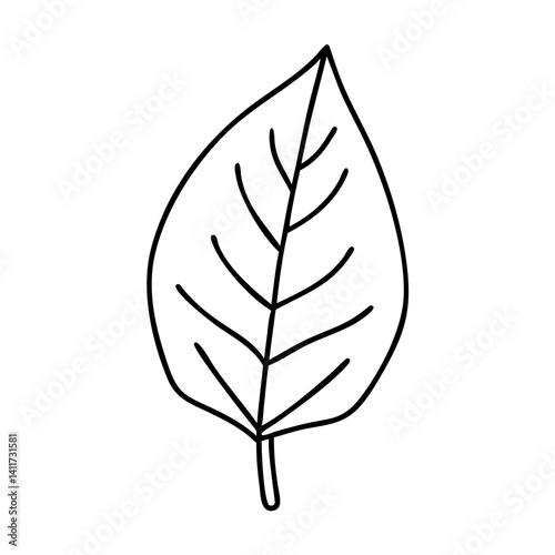 Simple Line Drawing of a Single Leaf with Veins Nature Botany Illustration