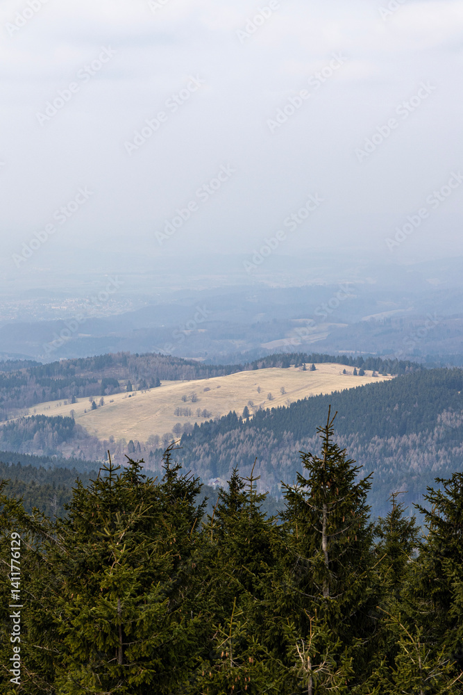 Obraz premium Mountain landscape. Eastern Sudetes on the border of Poland and the Czech Republic