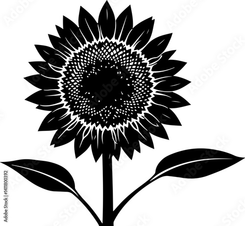 sunflower vector illustration