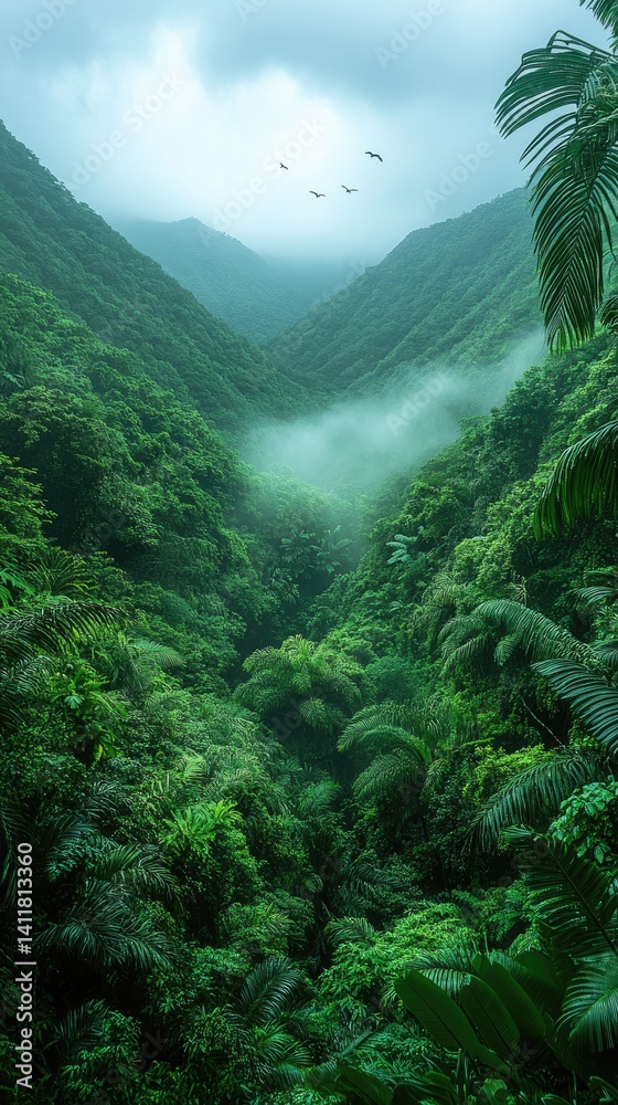 Lush green rainforest with birds flying above foggy mountain peaks