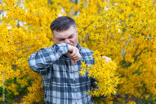 portrait of a man on the background of yellow forsythia flowers, spring nature and blossoms