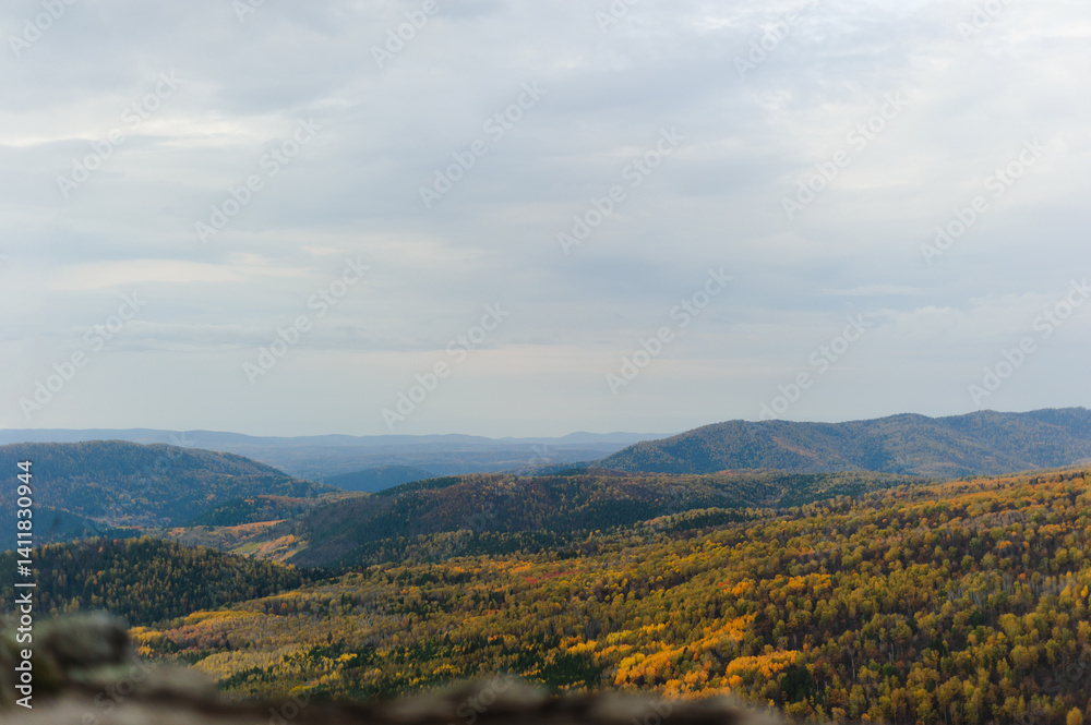 Fototapeta premium Hilly terrain in autumn. Mountain landscape.
