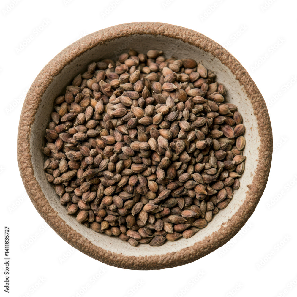 Harvesting transparent background hemp seeds farm field close-up image natural environment top-down view