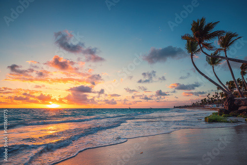 Fototapeta Naklejka Na Ścianę i Meble -  Palm and tropical beach in Punta Cana, Dominican Republic
