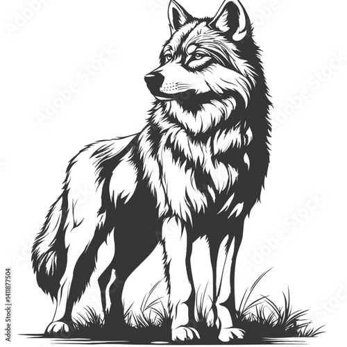 Lone Wolf's Vigil: A majestic wolf stands tall and watchful, its piercing gaze fixed on the horizon, embodying the untamed spirit of the wild with a stoic and resilient posture.