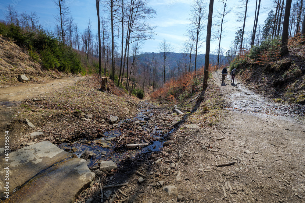 Yellow trail to Wielka Racza. Early spring in the mountains. Beskid Zywiecki. Rycerka Gorna. Beautiful sunny day. A stream in the foreground