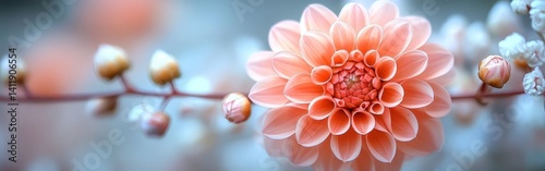 Stunning Colorful Floral Arrangement in Bloom