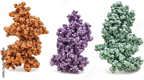 protein aggregation