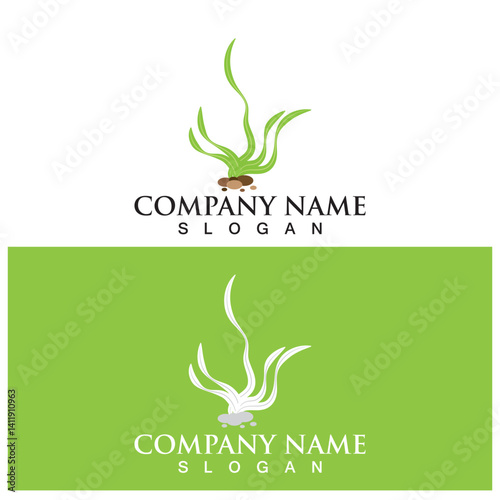 seaweed logo and vector template