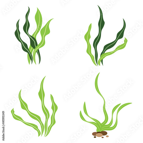 seaweed logo and vector template