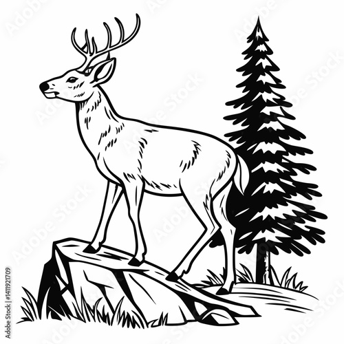 A vector whitetail deer standing on the hill or stone under a pine tree