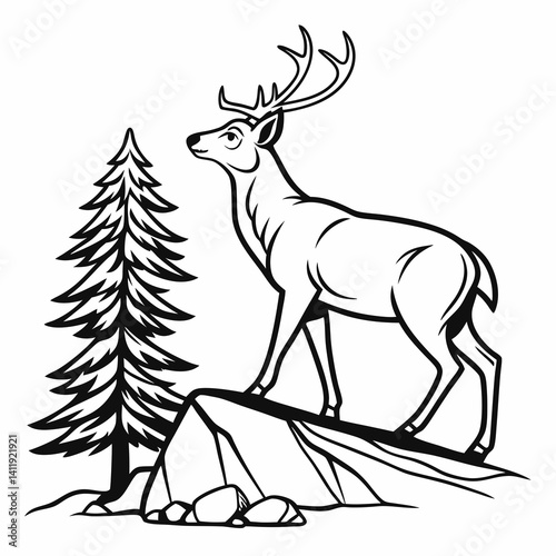 A vector whitetail deer standing on the hill or stone under a pine tree