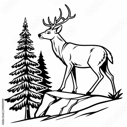 A vector whitetail deer standing on the hill or stone under a pine tree