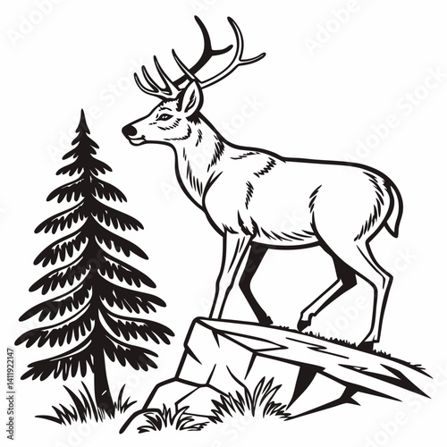 A vector whitetail deer standing on the hill or stone under a pine tree