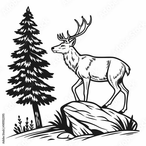 A vector whitetail deer standing on the hill or stone under a pine tree