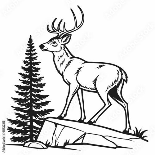 A vector whitetail deer standing on the hill or stone under a pine tree