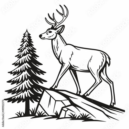 A vector whitetail deer standing on the hill or stone under a pine tree