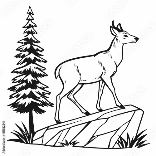 A vector whitetail deer standing on the hill or stone under a pine tree