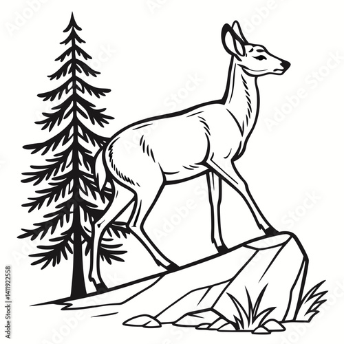 A vector whitetail deer standing on the hill or stone under a pine tree