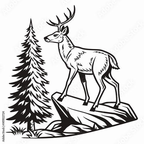 A vector whitetail deer standing on the hill or stone under a pine tree