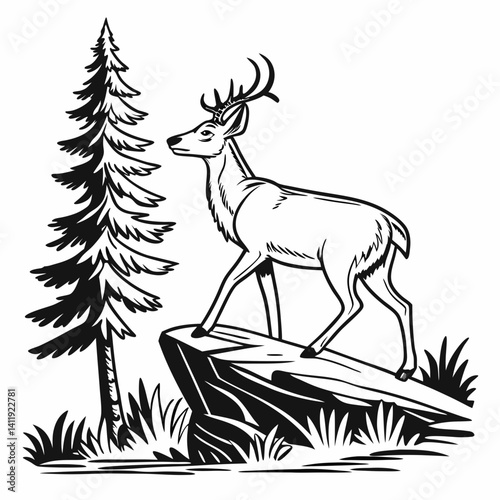 A vector whitetail deer standing on the hill or stone under a pine tree