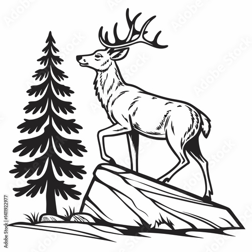 A vector whitetail deer standing on the hill or stone under a pine tree