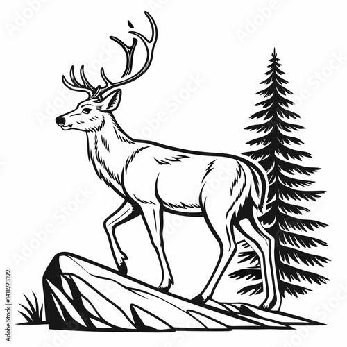 A vector whitetail deer standing on the hill or stone under a pine tree