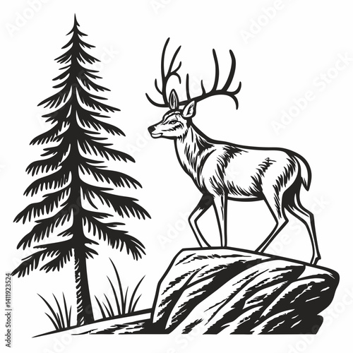 A vector whitetail deer standing on the hill or stone under a pine tree