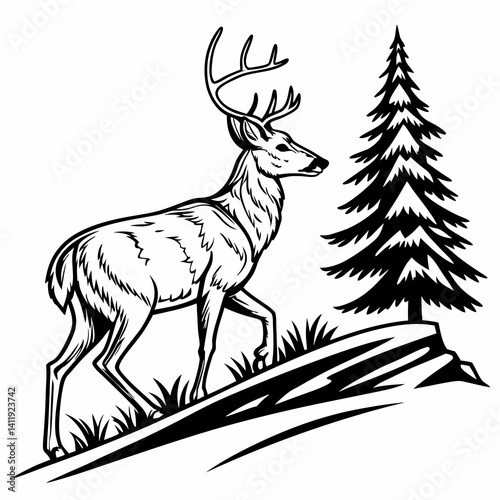 A vector whitetail deer standing on the hill or stone under a pine tree