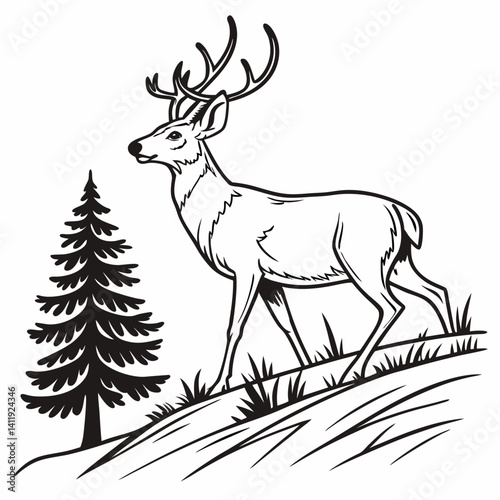 A vector whitetail deer standing on the hill or stone under a pine tree