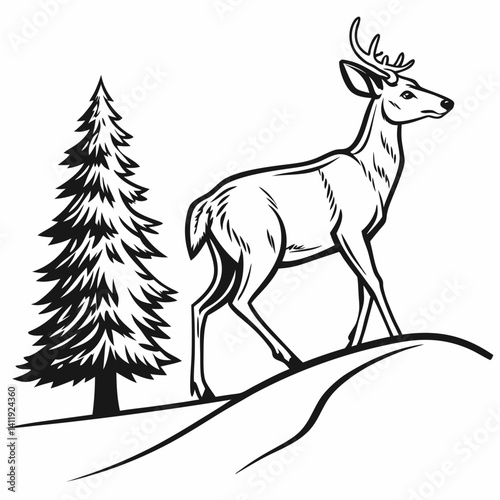 A vector whitetail deer standing on the hill or stone under a pine tree