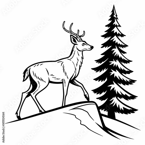 A vector whitetail deer standing on the hill or stone under a pine tree
