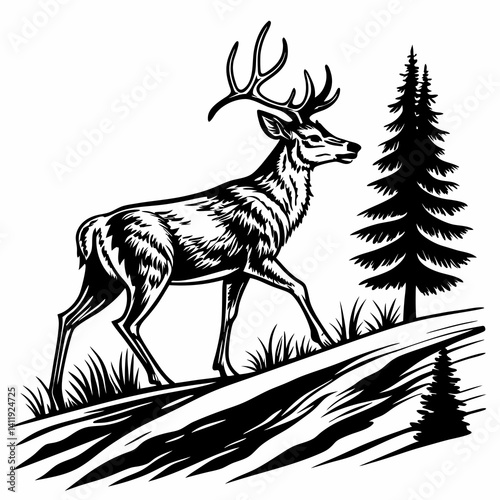 A vector whitetail deer standing on the hill or stone under a pine tree