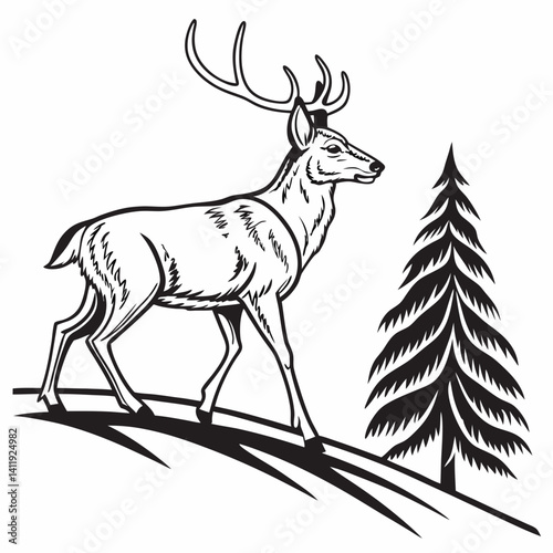 A vector whitetail deer standing on the hill or stone under a pine tree