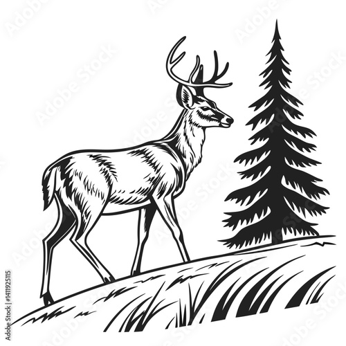 A vector whitetail deer standing on the hill or stone under a pine tree