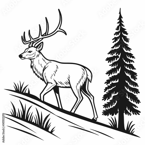 A vector whitetail deer standing on the hill or stone under a pine tree