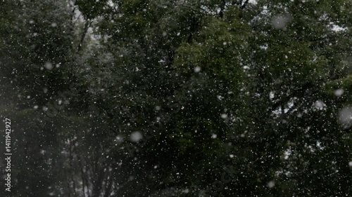 Snowfall in forest, slow motion