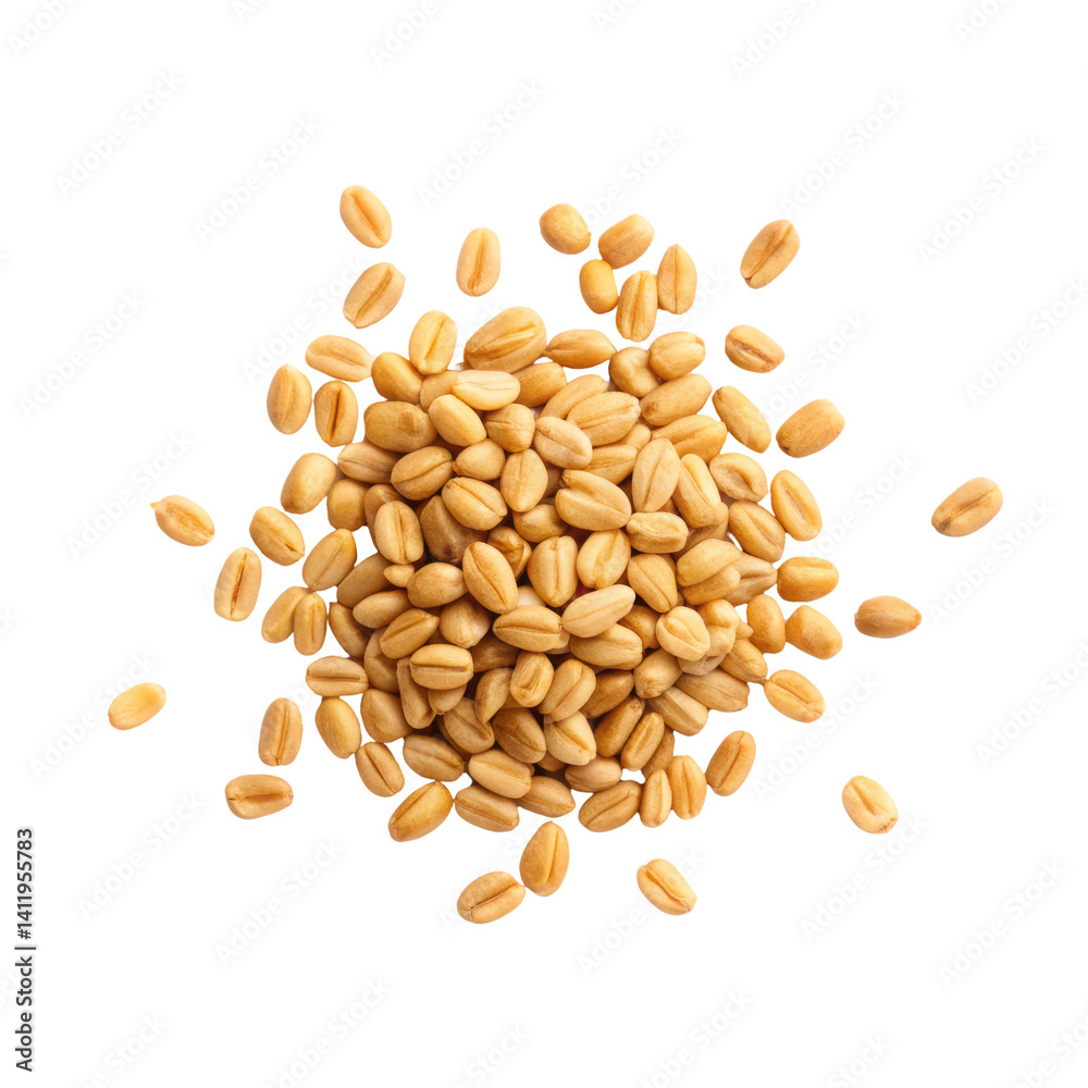 Golden wheat grains scattered on transparency background Golden wheat grains scattered on transparency background