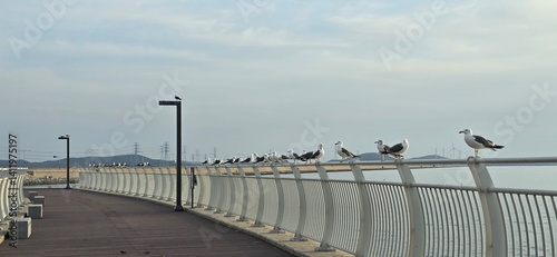 fence on the beach
