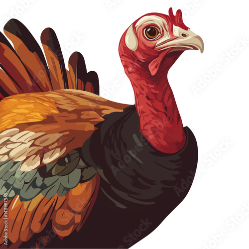 turkey, animal, vector, transparent background
