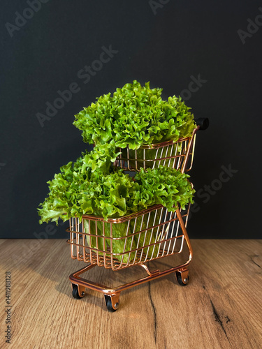 Leaf lettuce in a cart or better known as selada keriting is a type of lettuce whose leaf tips are wavy and light green in color. On black background