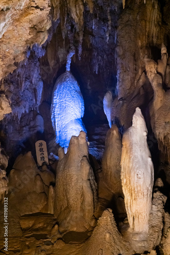 Obraz na płótnie Underground limestone cave in Japanese Okinawa world park w salonie
