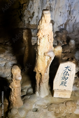 Obraz na płótnie Underground limestone cave in Japanese Okinawa world park w salonie