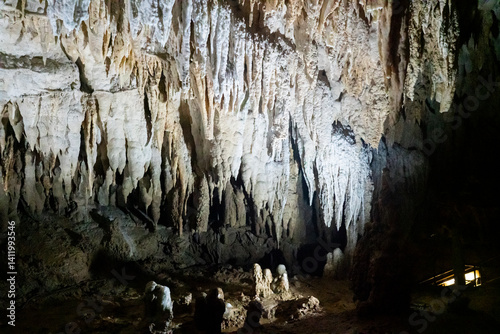Obraz na płótnie Underground limestone cave in Japanese Okinawa world park w salonie