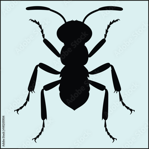 Ant Silhouette, Insect