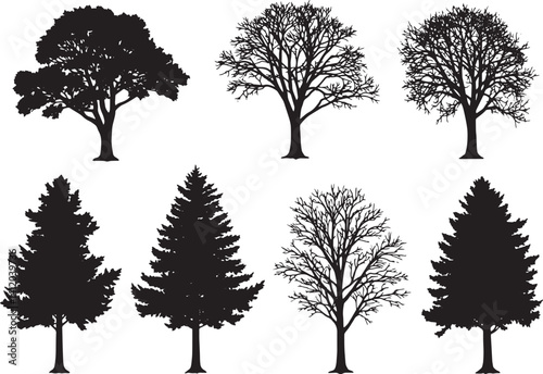Black and White Tree Silhouettes – Botanical Illustration of Various Tree Species

