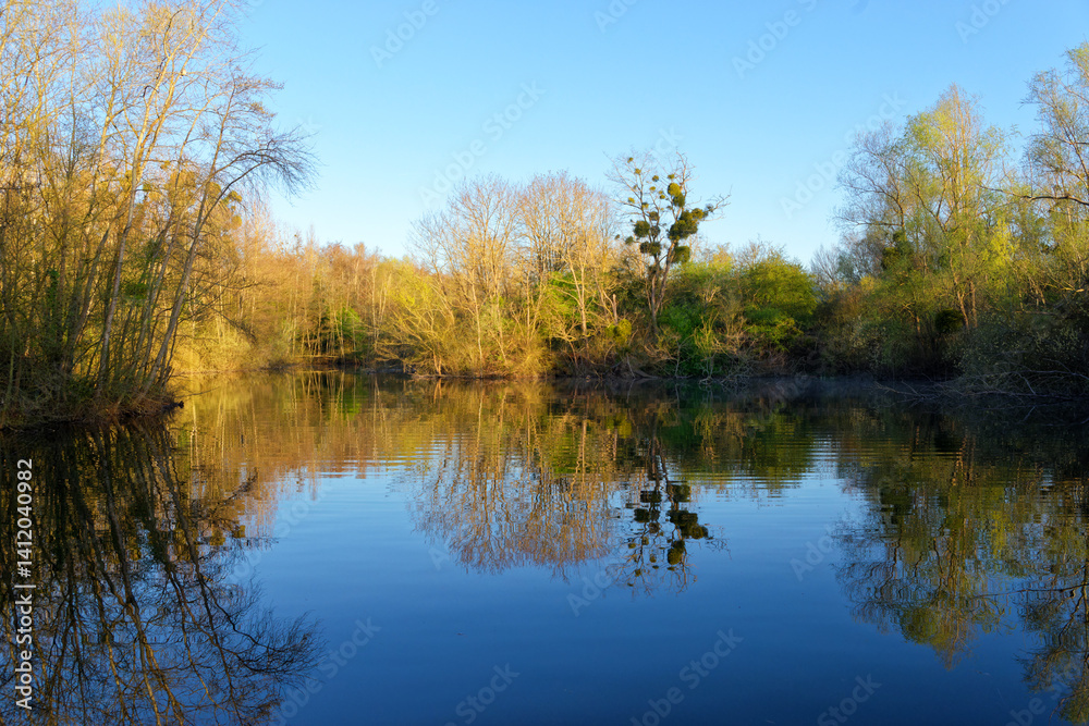Pond in the Pâtis park, the largest urban natural park in Île-de-France Region Pond in the Pâtis park, the largest urban natural park in Île-de-France Region