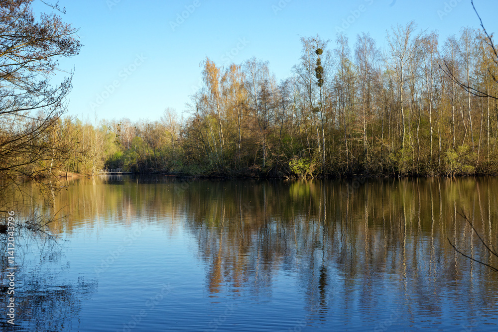Pond in the Pâtis park, the largest urban natural park in Île-de-France Region Pond in the Pâtis park, the largest urban natural park in Île-de-France Region